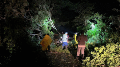 Récord de lluvias en la Sierra tras Frente Frío 13