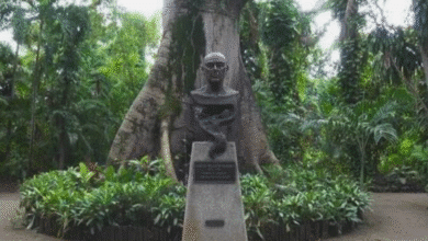 Van 22 mdp para renovar el museo la Venta