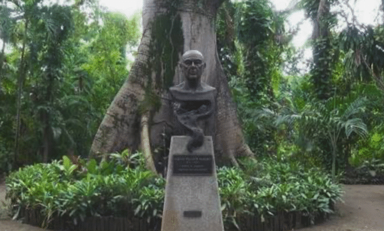 Van 22 mdp para renovar el museo la Venta