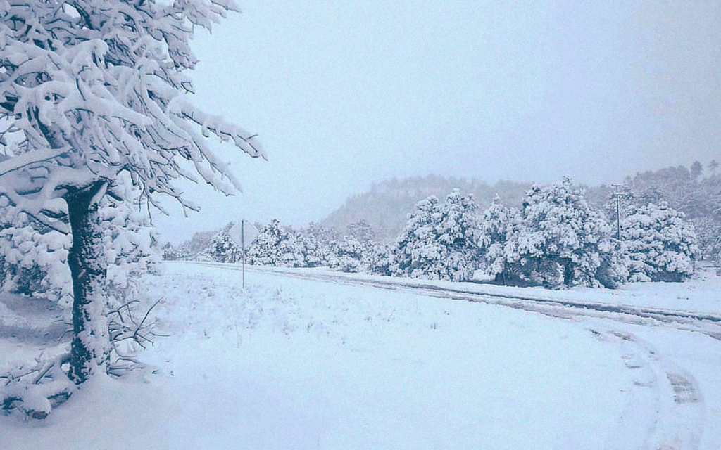 Nieve en México,primera tormenta invernal 2025,evento de Norte,clima en Chihuahua,nevadas en Sonora,aguanieve en Durango,Servicio Meteorológico Nacional,bajas temperaturas CDMX,frente frío,clima gélido,alertas por frío,pronóstico del tiempo México,heladas en la sierra,invierno en México,protección civil frío.