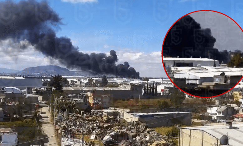 Cae avioneta ejecutiva cerca del Aeropuerto de Toluca; se reportan seis personas muertas (IMAGENES C5 EDOMEX)