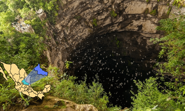 Ubicado en el corazón de la Huasteca Potosina, este abismo de 512 metros de profundidad ofrece uno de los espectáculos naturales más asombrosos del mundo con el vuelo sincronizado de miles de aves.