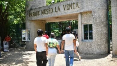 La Venta se viste de fiesta con el espectáculo navideño de estudiantes