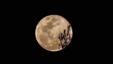 Luna Fría 2025 cuándo y cómo ver la última Superluna del año