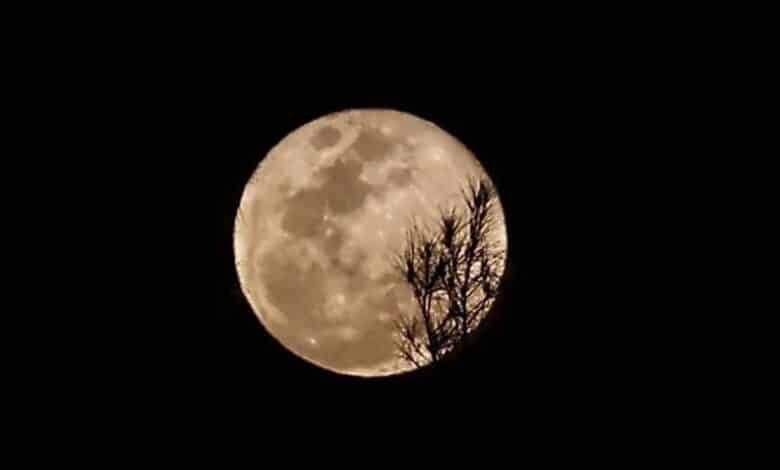 Luna Fría 2025 cuándo y cómo ver la última Superluna del año