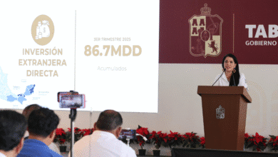 Más de medio millón de empleos y liderazgo Productivo Katia Ornelas