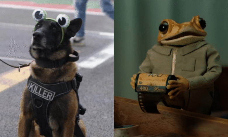 Perrito policía disfrazado de “Concho” se roba el show en concierto de Bad Bunny en CDMX