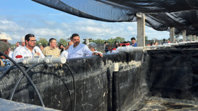May Rodríguez señaló que el programa ‘Pescando Vida’ alcanzará a diez mil beneficiarios en los próximos cuatro años.