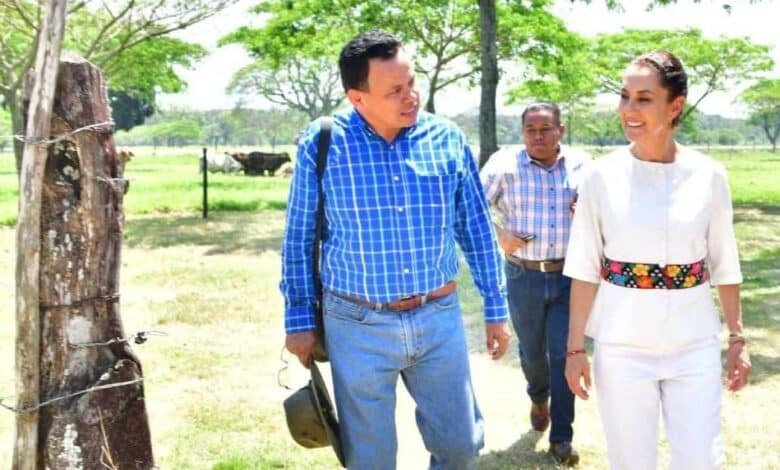 Seguridad Reforzada Despliegan Más de 6,000 Elementos en Tabasco por Operativo Navidad Segura
