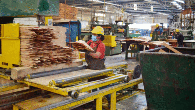 Sezaric pone sus ojos en Jalapa para revolucionar la industria forestal