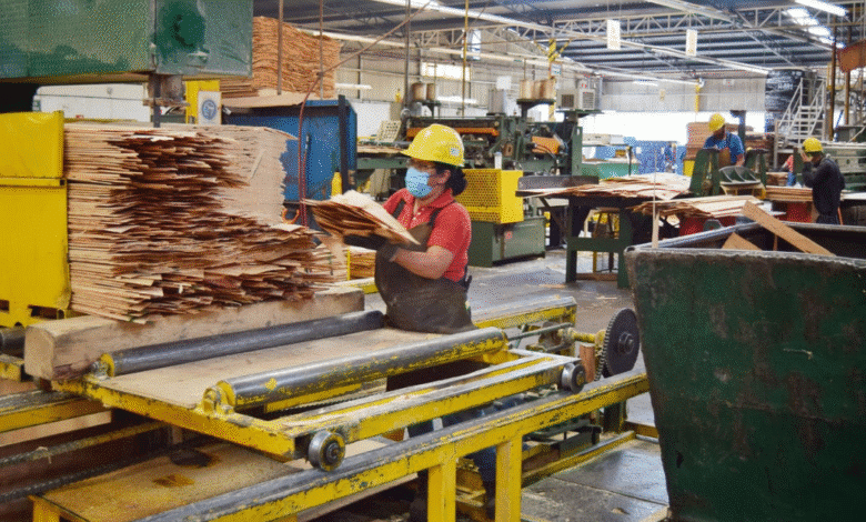 Sezaric pone sus ojos en Jalapa para revolucionar la industria forestal