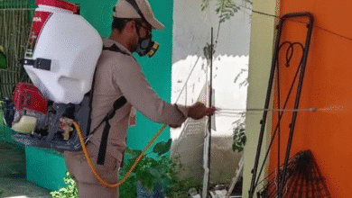 Tabasco frena al dengue y presenta casos a la baja con 79% respecto al año pasado