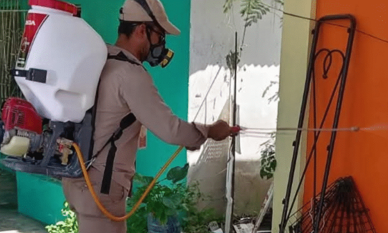 Tabasco frena al dengue y presenta casos a la baja con 79% respecto al año pasado