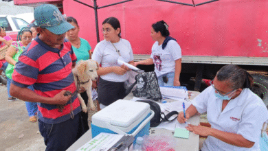 Tabasco supera el 90% de meta en vacunación antirrábica canina y felina