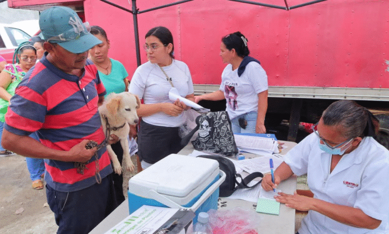 Tabasco supera el 90% de meta en vacunación antirrábica canina y felina