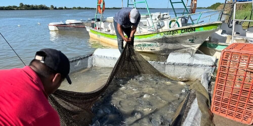 “Pescando vida” concluirá primera etapa en diciembre