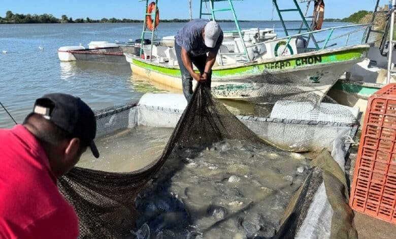 “Pescando vida” concluirá primera etapa en diciembre
