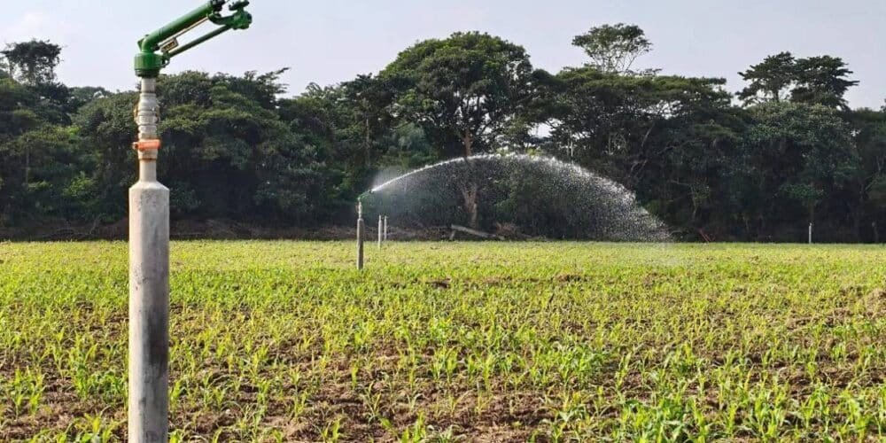 Agricultura en Tabasco mejora riego con energía solar para enfrentar sequía