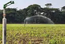 Agricultura en Tabasco mejora riego con energía solar para enfrentar sequía