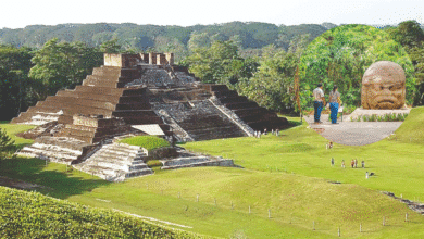 Alianza por la FITUR