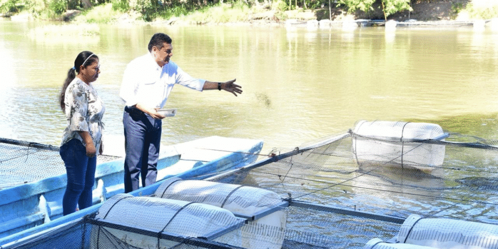 Apuesta por la soberanía alimentaria