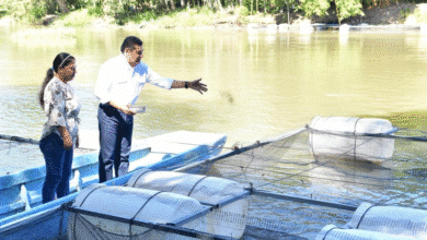 Apuesta por la soberanía alimentaria