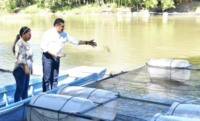 Apuesta por la soberanía alimentaria