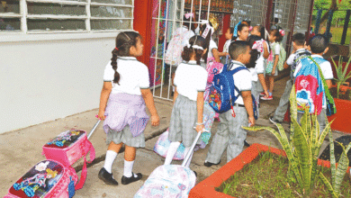 Arrancan clases de nivel básico