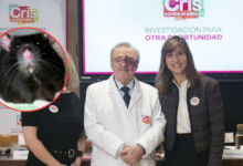 Científicos españoles logran eliminar el cáncer de páncreas en ratones por primera vez