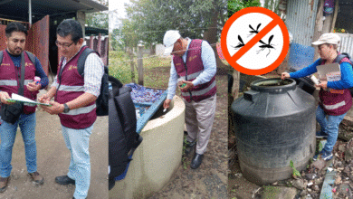 Control larvario y cerco epidemiológico previenen dengue, zika y chikungunya en Frontera, Centla, Tabasco