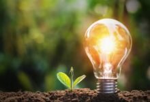 Convención SOS 26 llegará a Tabasco para impulsar desarrollo sostenible