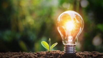 Convención SOS 26 llegará a Tabasco para impulsar desarrollo sostenible