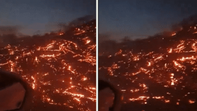 Un incendio de gran magnitud permanece activo a lo largo de la Carretera Federal 200, afectando varios puntos del Istmo de Tehuantepec. Las llamas, avivadas por vientos fuertes y vegetación seca, han reducido la visibilidad y encendido alertas por el riesgo de accidentes y posibles afectaciones a poblaciones cercanas.