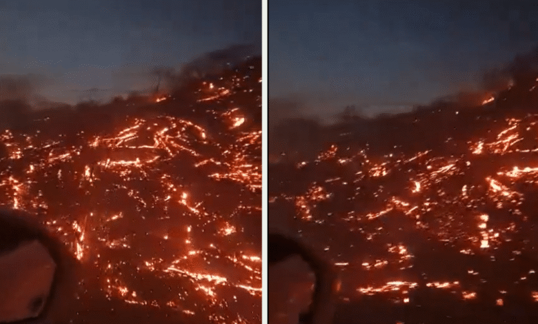 Un incendio de gran magnitud permanece activo a lo largo de la Carretera Federal 200, afectando varios puntos del Istmo de Tehuantepec. Las llamas, avivadas por vientos fuertes y vegetación seca, han reducido la visibilidad y encendido alertas por el riesgo de accidentes y posibles afectaciones a poblaciones cercanas.