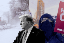 En medio de protestas nacionales por la muerte de un manifestante a manos de agentes federales en Mineápolis y una megatormenta invernal que ha dejado al menos 30 muertos, el presidente Donald Trump ajustó su estrategia tanto en materia migratoria como en el manejo de la crisis interna, ordenando cambios tácticos y un repliegue parcial de fuerzas federales.