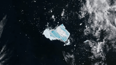 Iceberg A23a entra en fase final de desintegración, alerta China