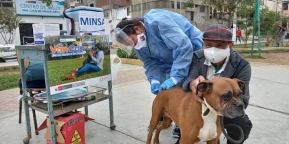 Inicia vacunación masiva en marzo contra la rabia