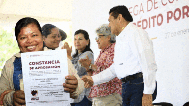 Javier May empodera al campo tabasqueño con Crédito Porcino a la Palabra