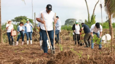 Tabasco convoca a gran pacto social para frenar el cambio climático