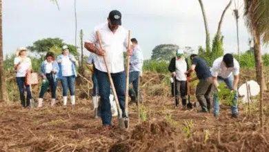 Tabasco convoca a gran pacto social para frenar el cambio climático