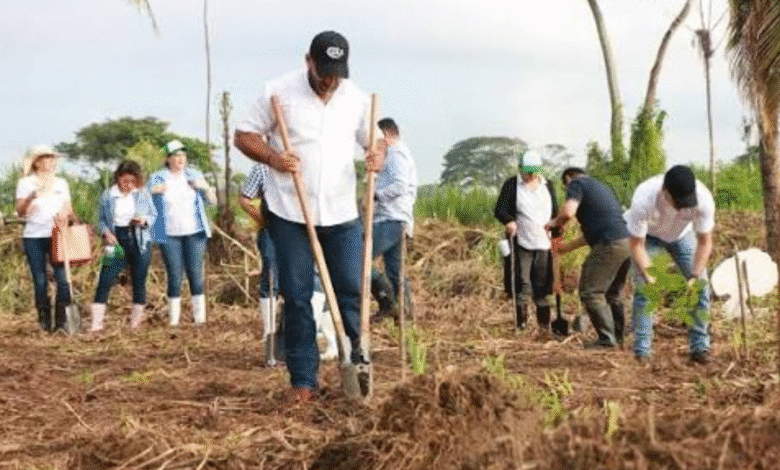 Tabasco convoca a gran pacto social para frenar el cambio climático