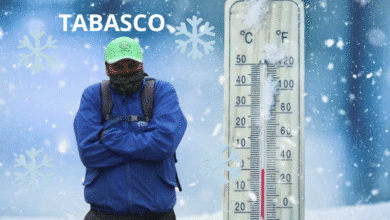 Termómetros caerán hasta los 15 grados este miércoles