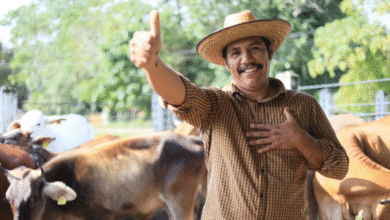 Transforma crédito ganadero a la palabra el rostro del campo en Tabasco