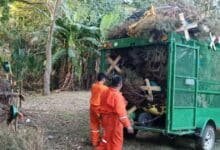 Inicia el procesamiento de composta en Tabasco