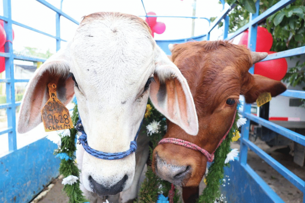 procesión Señor de Esquipulas,Laguna El Pomposú,tradición tabasqueña,fe y devoción Tabasco,Reforma 2da Sección,festividades religiosas Tabasco,procesión náutica,historia y cultura Tabasco,ofrendas tradicionales,comunidad y fe Tabasco