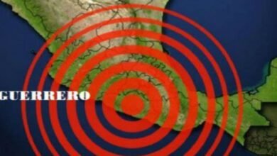 Sismo de 6.5 sacude el suroeste de Guerrero (Foto de internet)