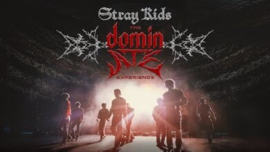 Stray Kids en cines de México: cuándo ver "The dominATE Experience" (Foto de internet)