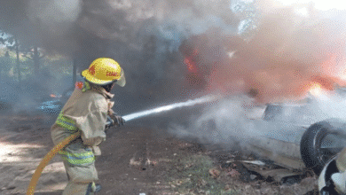Bomberos sofocan incendio y rescaten a un Tlacuache
