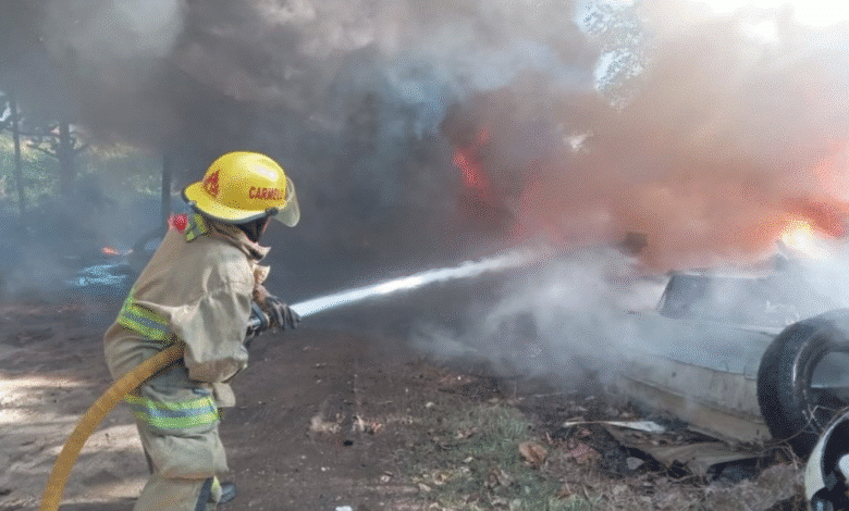 Bomberos sofocan incendio y rescaten a un Tlacuache
