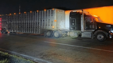 Desmantelan arsenal y red de logística